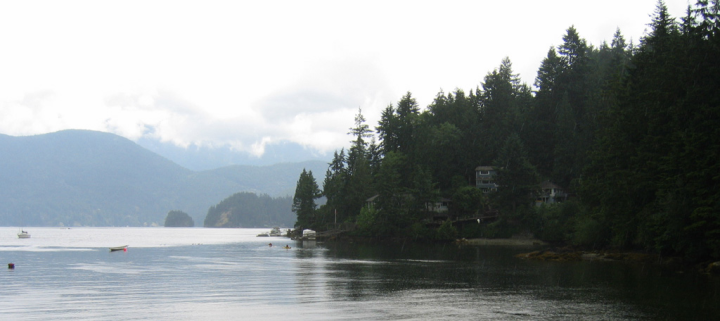 Deep Cove in the rain