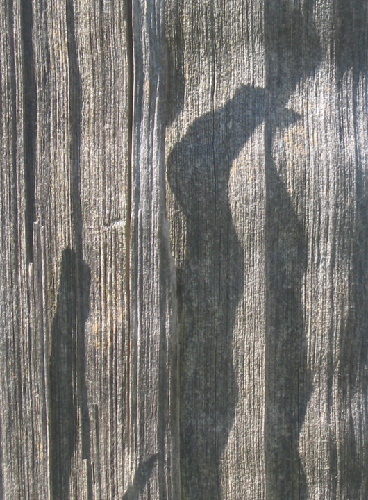 Slanting sun on rough cedar fence planks