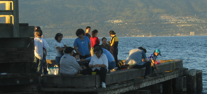 People fishing from the jetty at Jericho beach