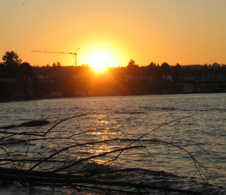 Conventional sunset shot with crane and gull