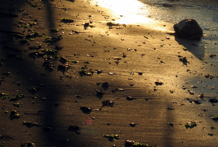 The sun reflects at a low angle off the sand