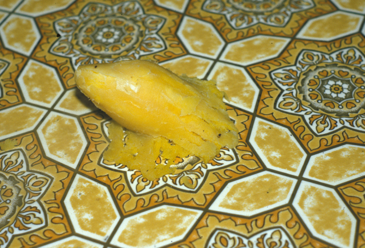 The Yam fell on the floor (from above)