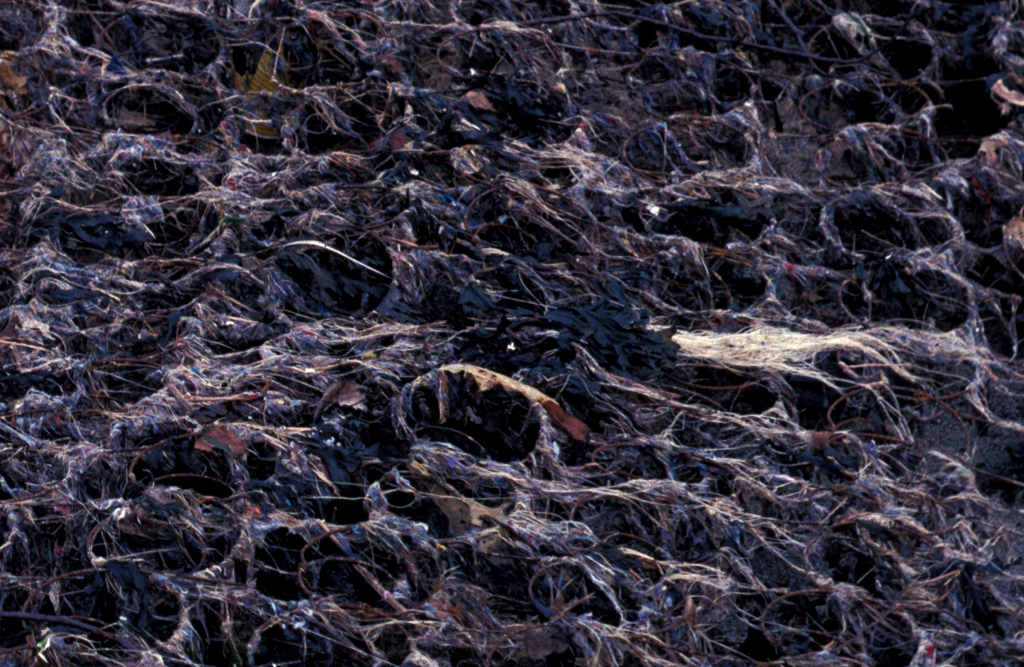 Decaying mattress on the beach