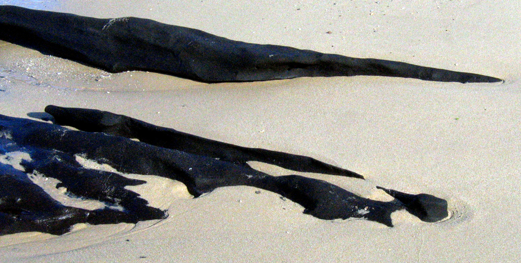 Black stones on white Queensland beach