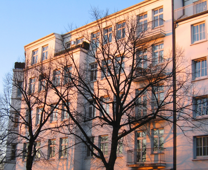 Bare tree against Hamburg building lit by sunset