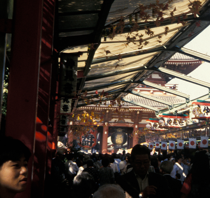 Shoppers in Asakusa, Tokyo