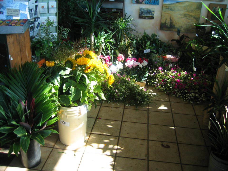 Interior of the Flower Factory