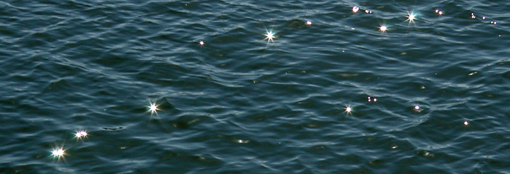 Sparkles on sea-water at Steveston