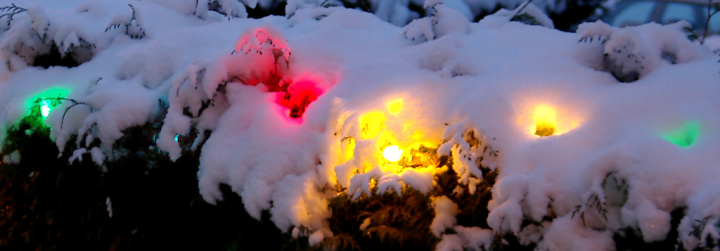 Christmas lights in snow