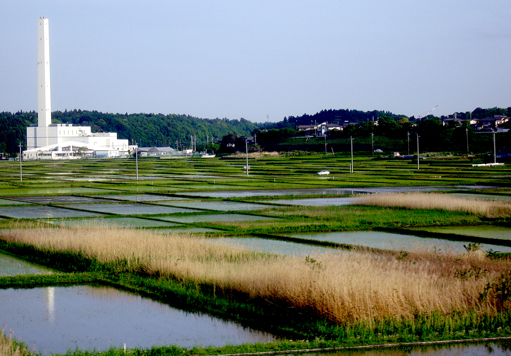 Rice paddies near Tokyo