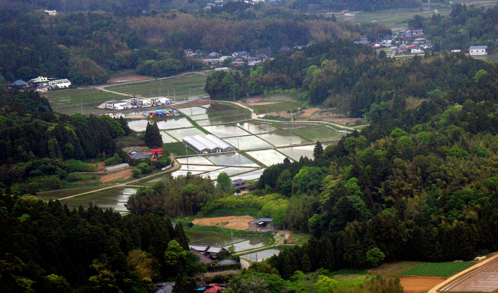 Rice paddies near Narita from the air