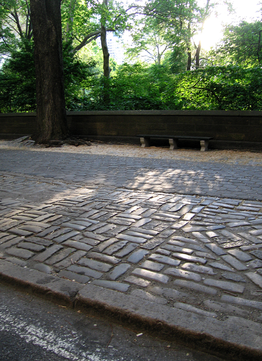 New York sidewalk, by Central Park