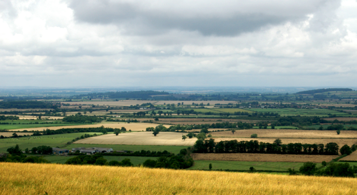 View from White Horse Hill, Wiltshire