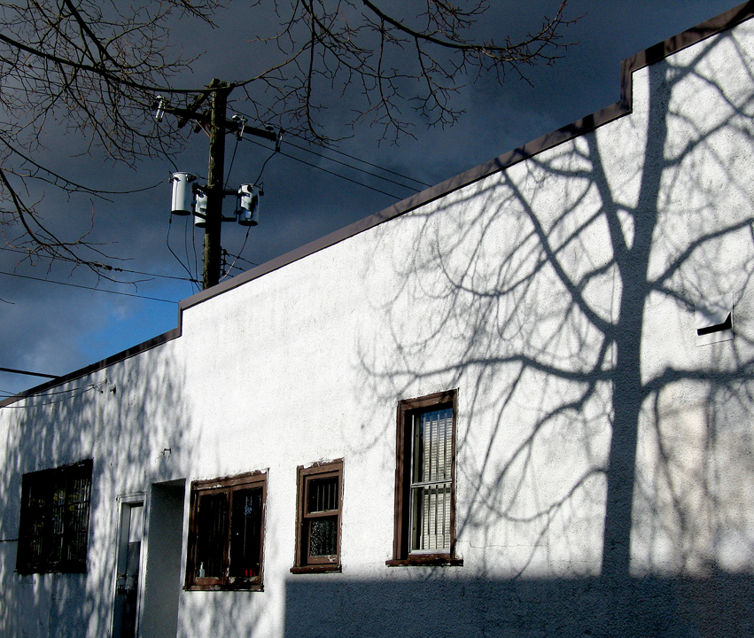 Treeshadow in autumn sunshine, Vancouver