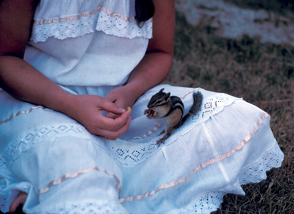 Squirrel and lacy dress