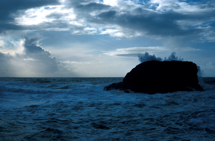 Pacific Rim National Park seascape