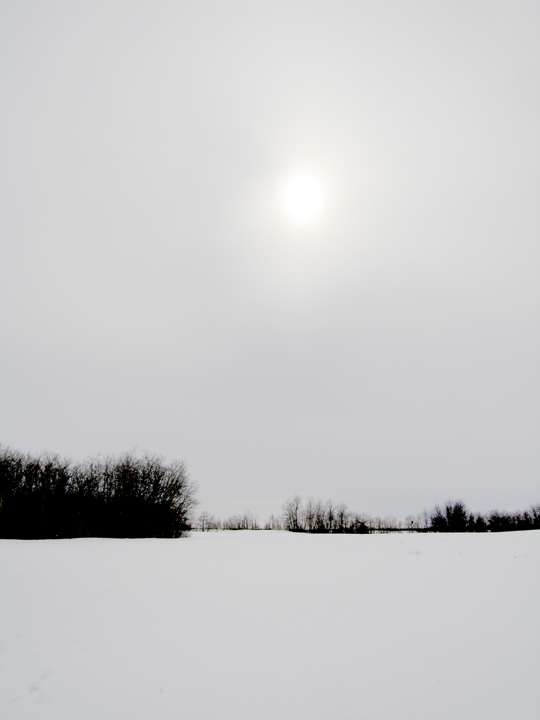 White snow, white sky, early Saskatchewan spring