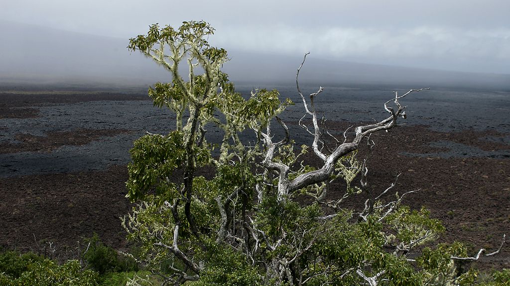 View towards Mauna Loa from a hill on the Big Island Saddle Road