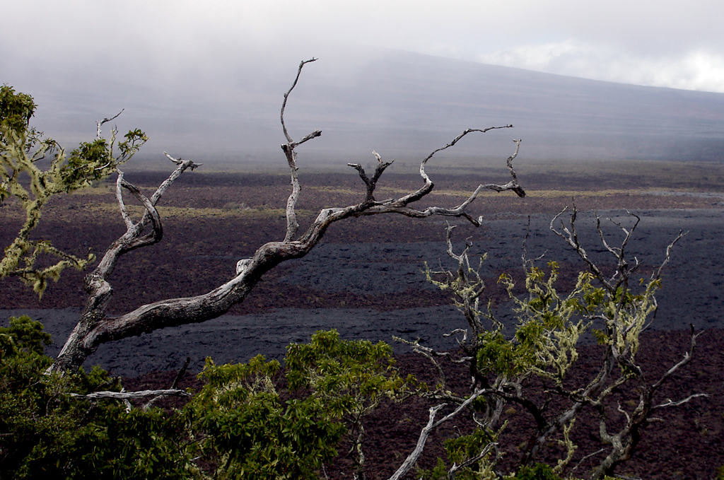 View towards Mauna Loa from a hill on the Big Island Saddle Road