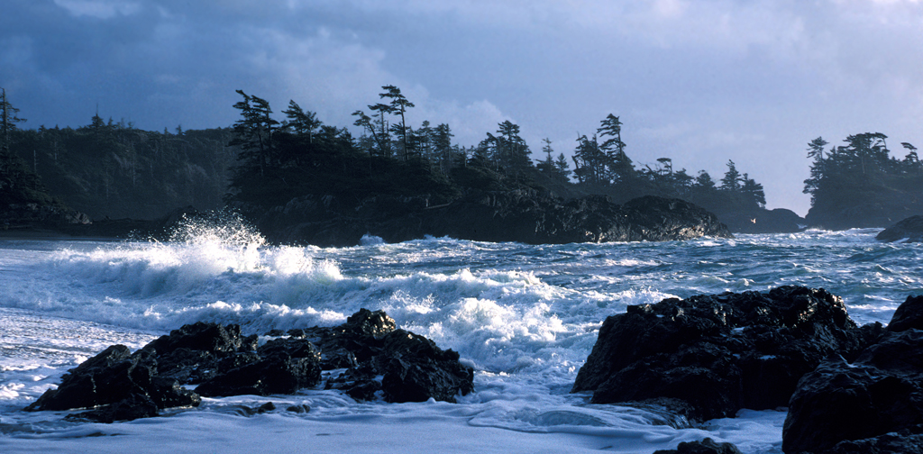 Winter storm at Pacific Rim National Park