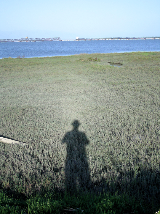 Photographer’s shadow, from San Francisco Bay walking trail near the Dumbarton Bridge