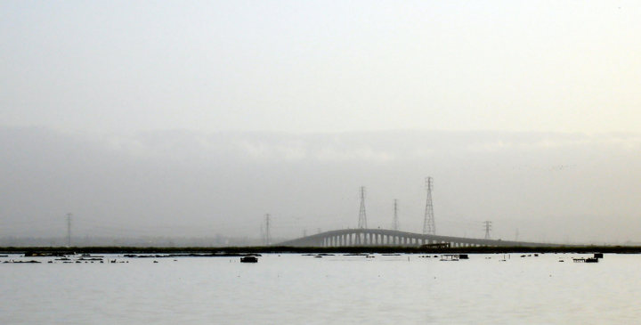 Dumbarton bridge arch from the East Bay