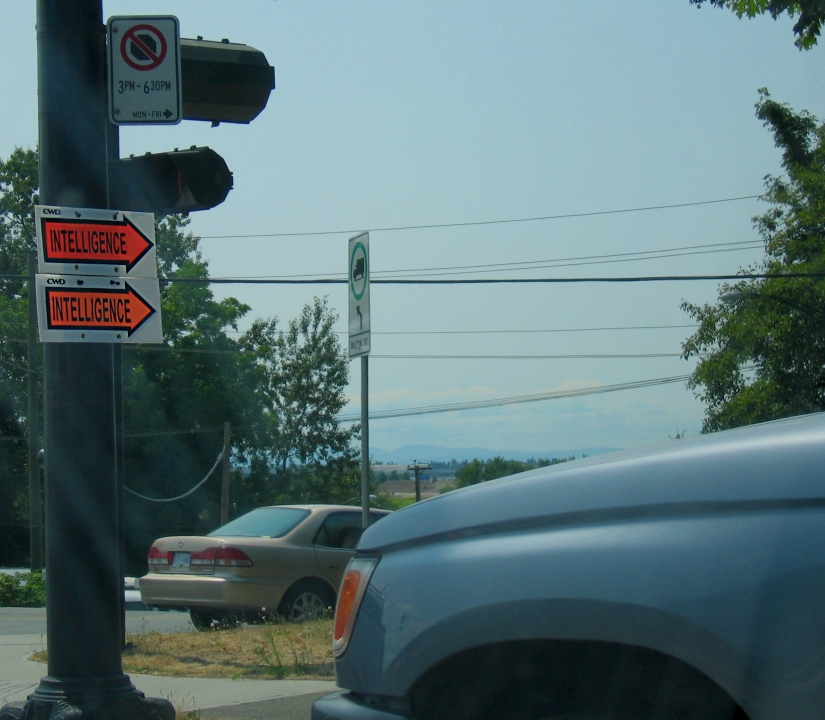 Street scene, two signs say ‘intelligence’