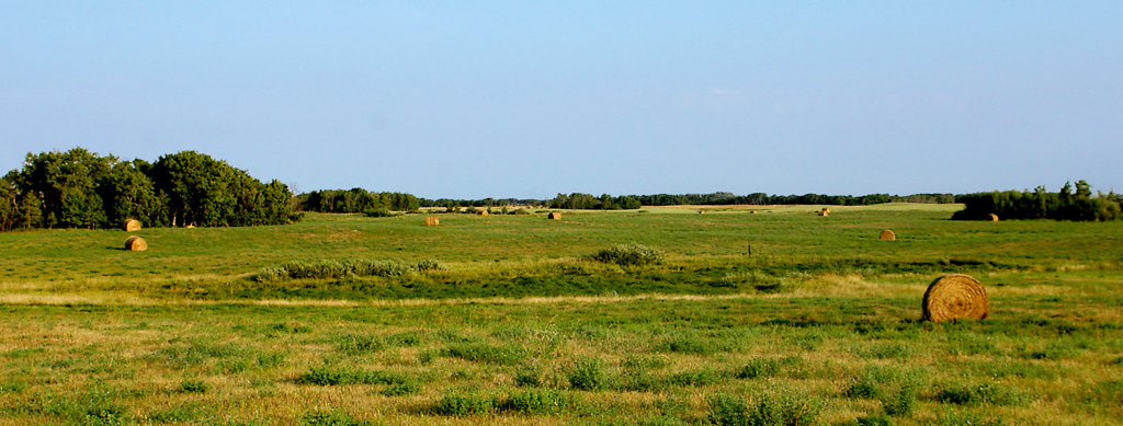 August hay bales in Saskatchewan