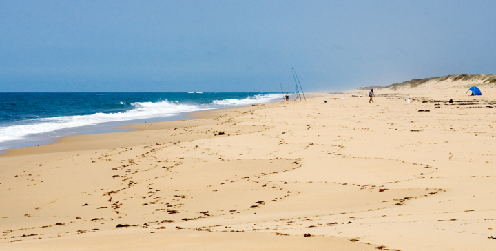 The beach at Frenches Narrows, Cape Conran park, Victoria