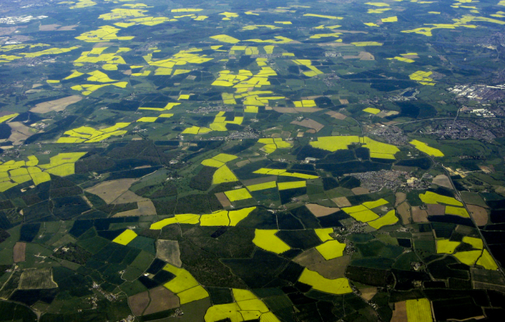 The English countryside in green and yellow