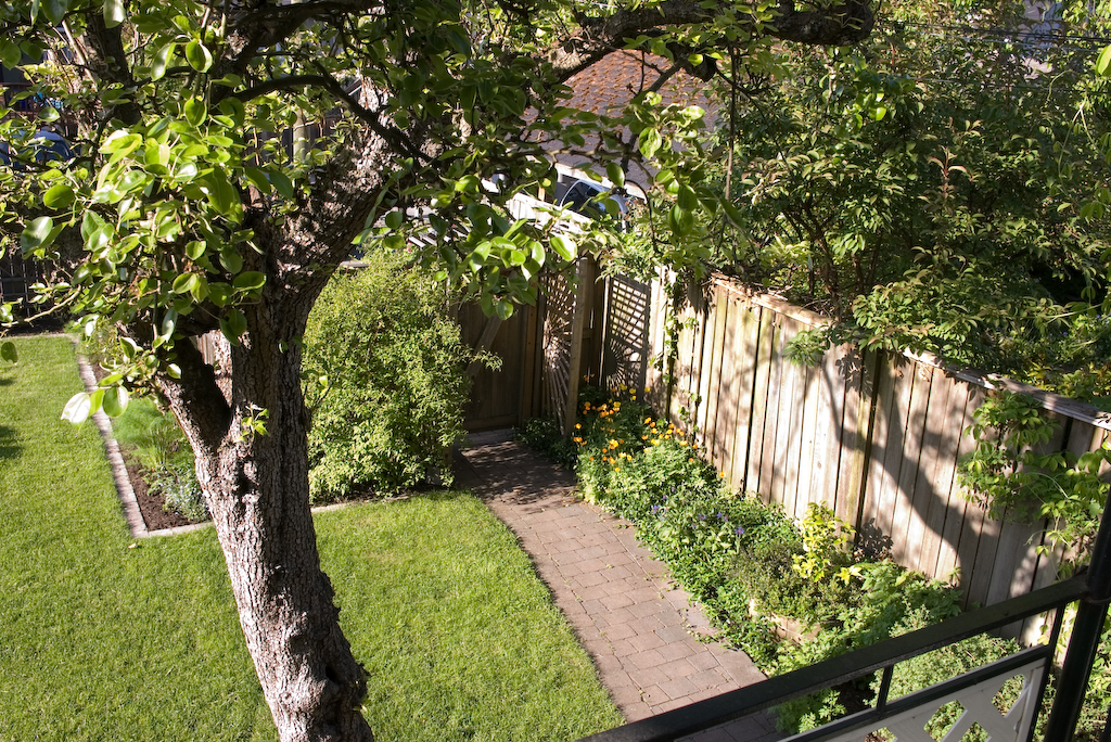 Garden scene shot with Pentax smc P-DA 21mm