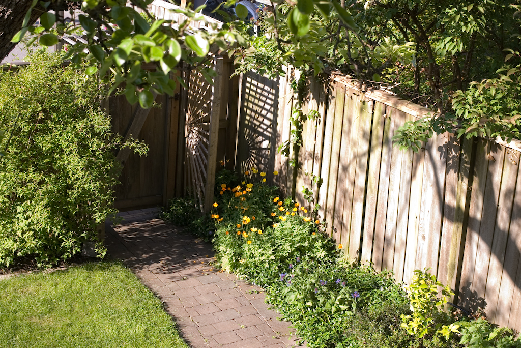 Garden scene shot with Pentax smc P-DA 40mm