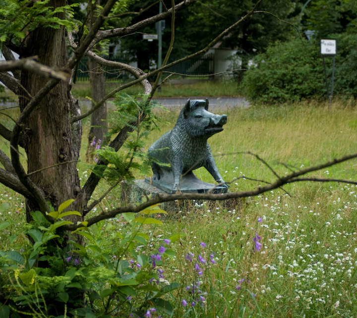 The wild boar statue in Platz am Wilden Eber, Berlin