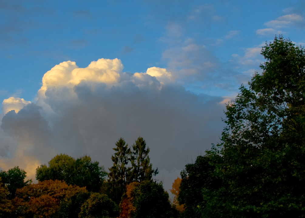 Autumn trees and clouds