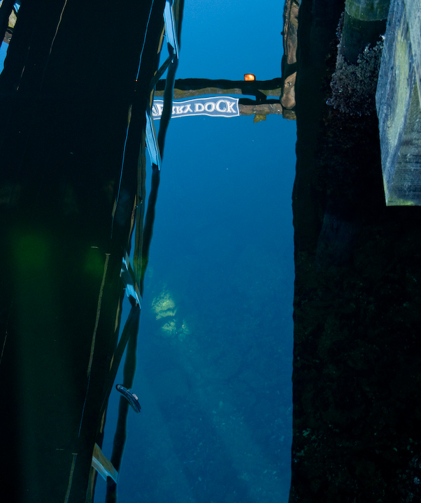 Looking down between the docks at Granville Island, Vancouver