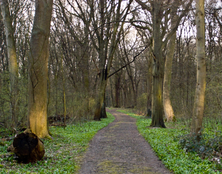 Niedwald park in Frankfurt