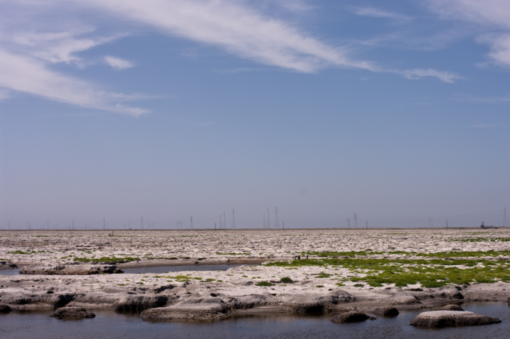 San Francisco Bay salt marsh from Marsh Road