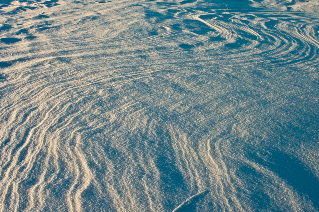 December-2008 Saskatchewan snowscape