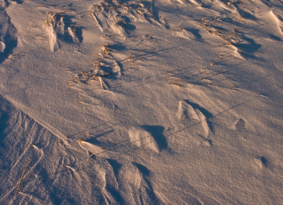 December-2008 Saskatchewan snowscape