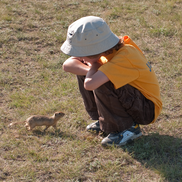 Prairie dog and boy near Drumheller, Alberta