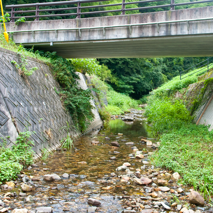 Verdant culvert in Yakumo village, Shimane prefecture