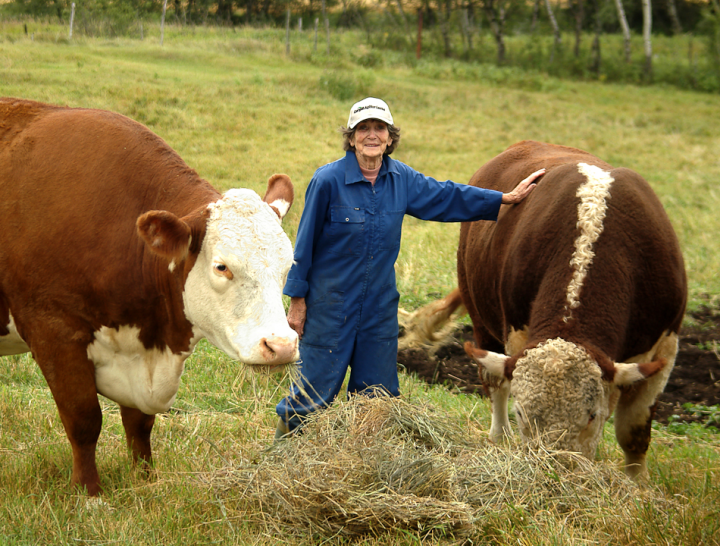 Alison wood with two herefords in Saskatchewan