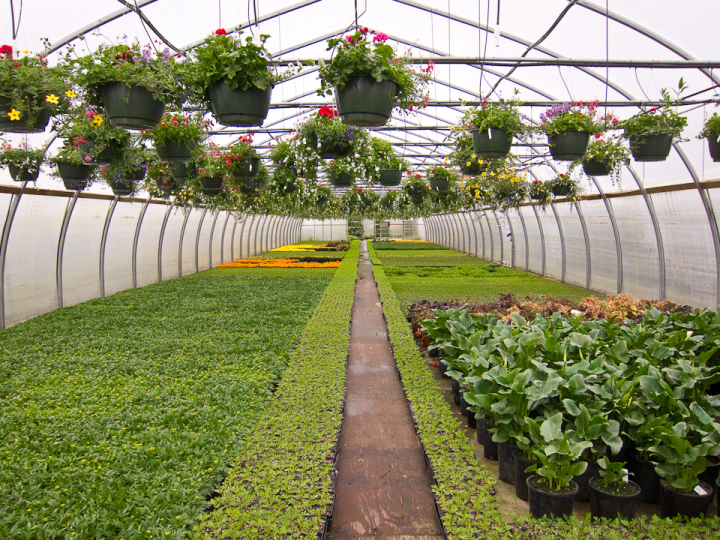 Leon’s Nursery, Burnaby, Canada