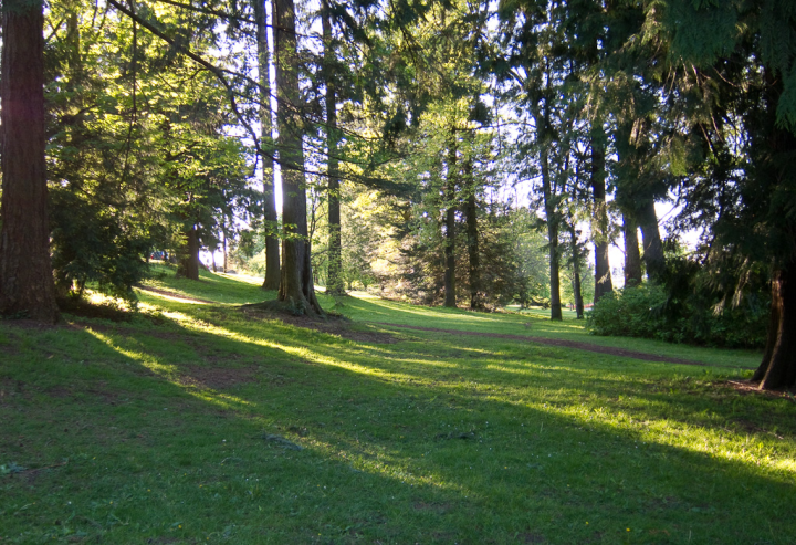 A park in Vancouver