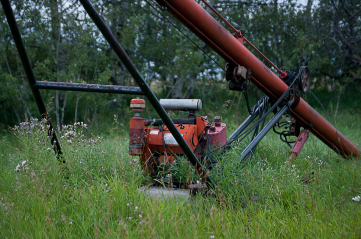 Grass growing up and through a farm machine