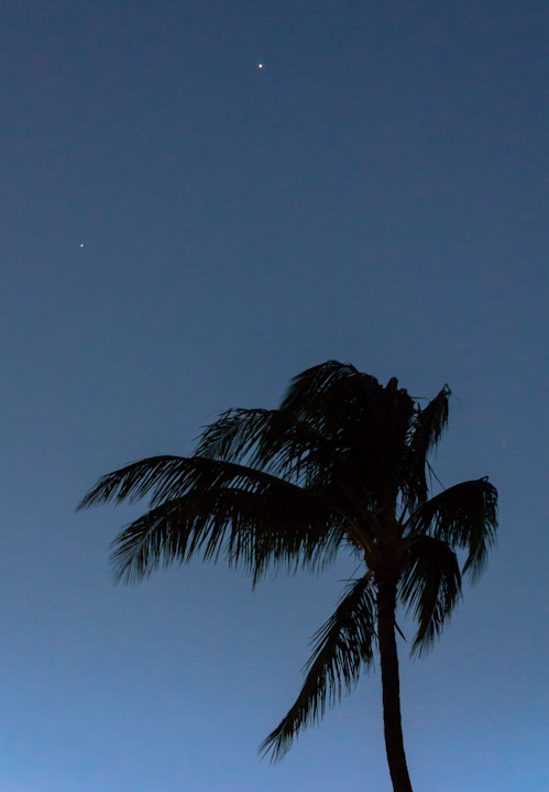 Palm tree, Venus, and Jupiter