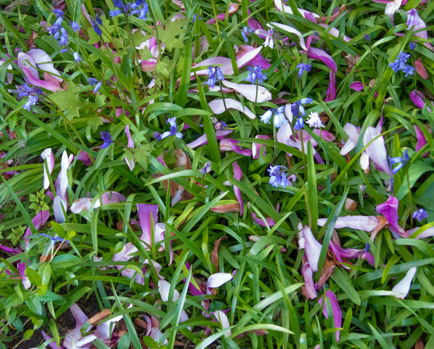 Pink blue and green spring garden floor