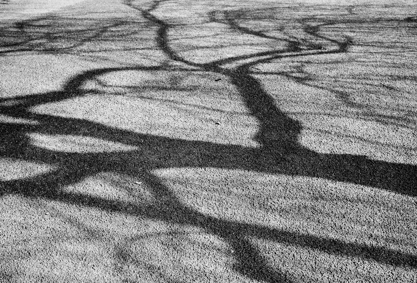 Treeshadow on gravel in Kitanomaru park