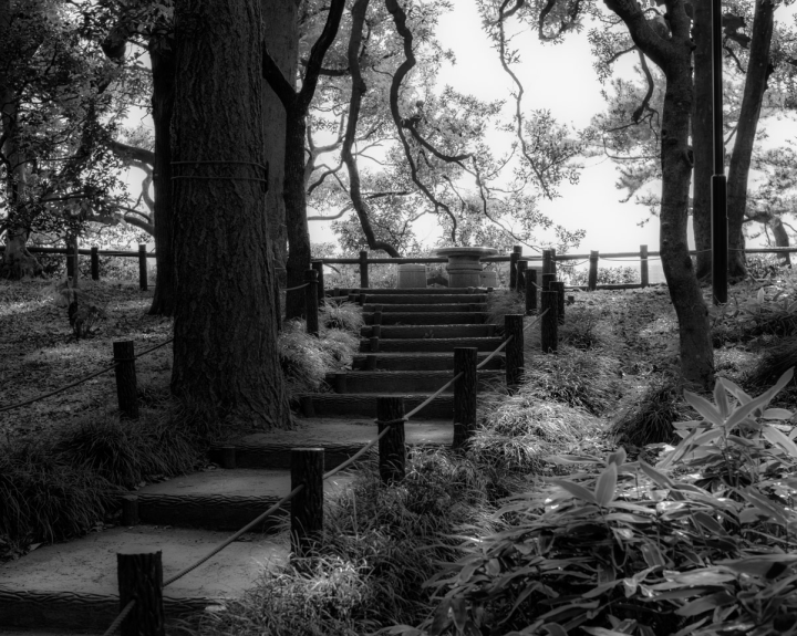 Stairs in Kitanomaru Park, Tokyo