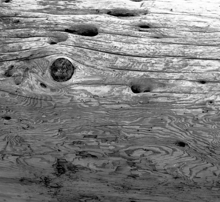 Monochrome driftwood presentation